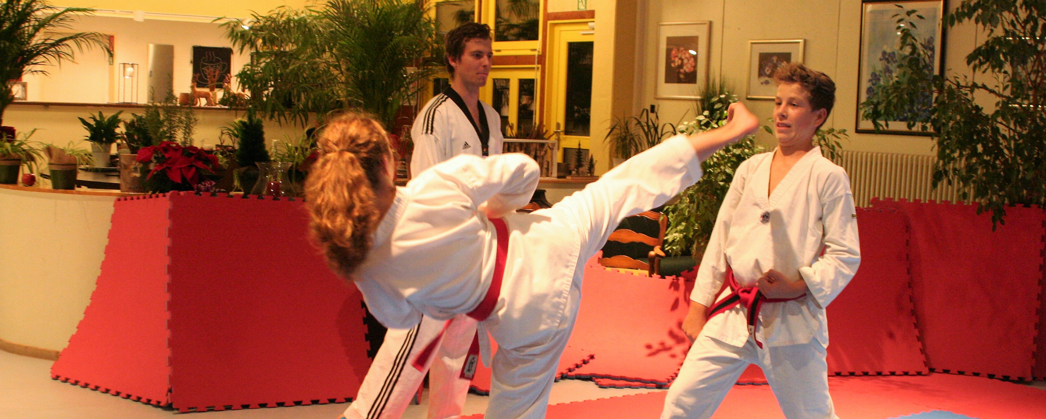 Vaterstetten Taekwondo